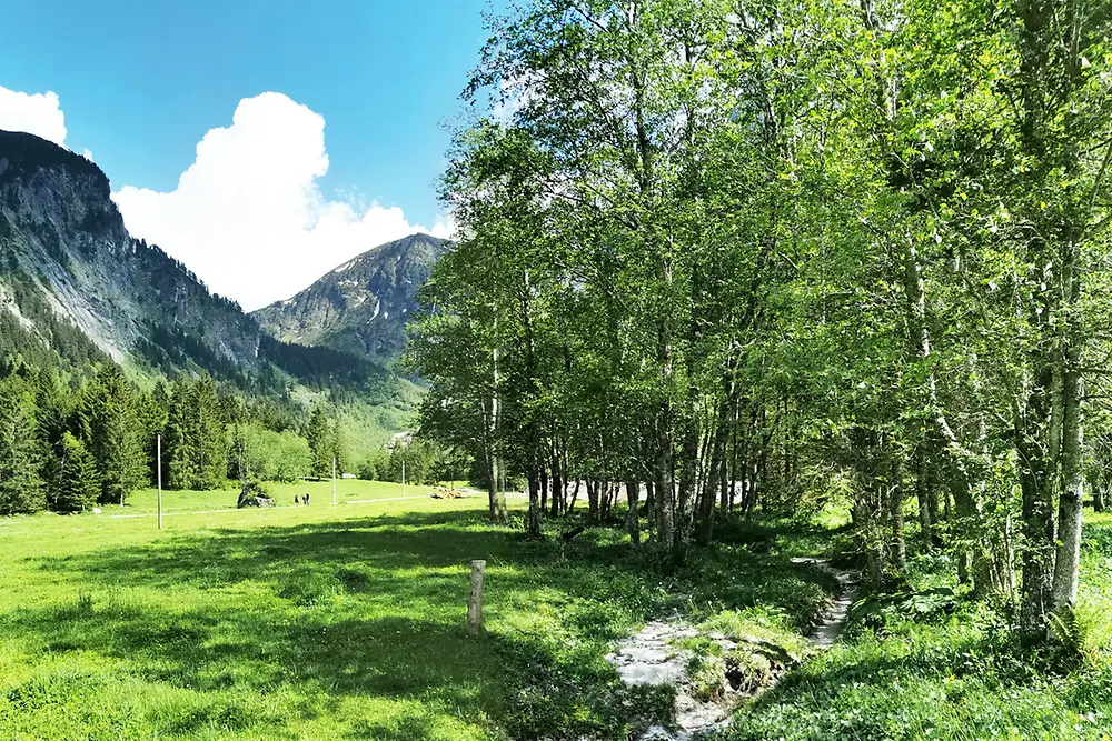 Naturschutzfachliche Rarität im Hochgebirgs-Naturpark.