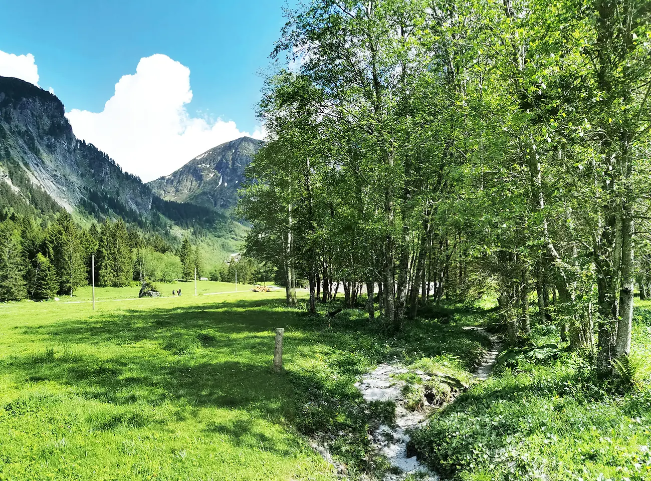 Naturschutzfachliche Rarität im Hochgebirgs-Naturpark.