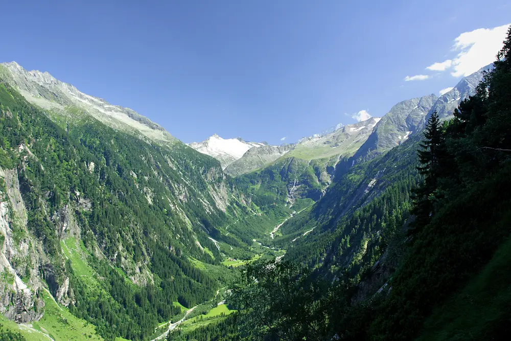 Der Grauerlen-Auwald auf der Schwemmalm soll langfristig erhalten bleiben.