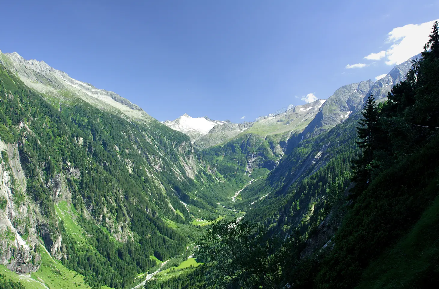 Der Grauerlen-Auwald auf der Schwemmalm soll langfristig erhalten bleiben.