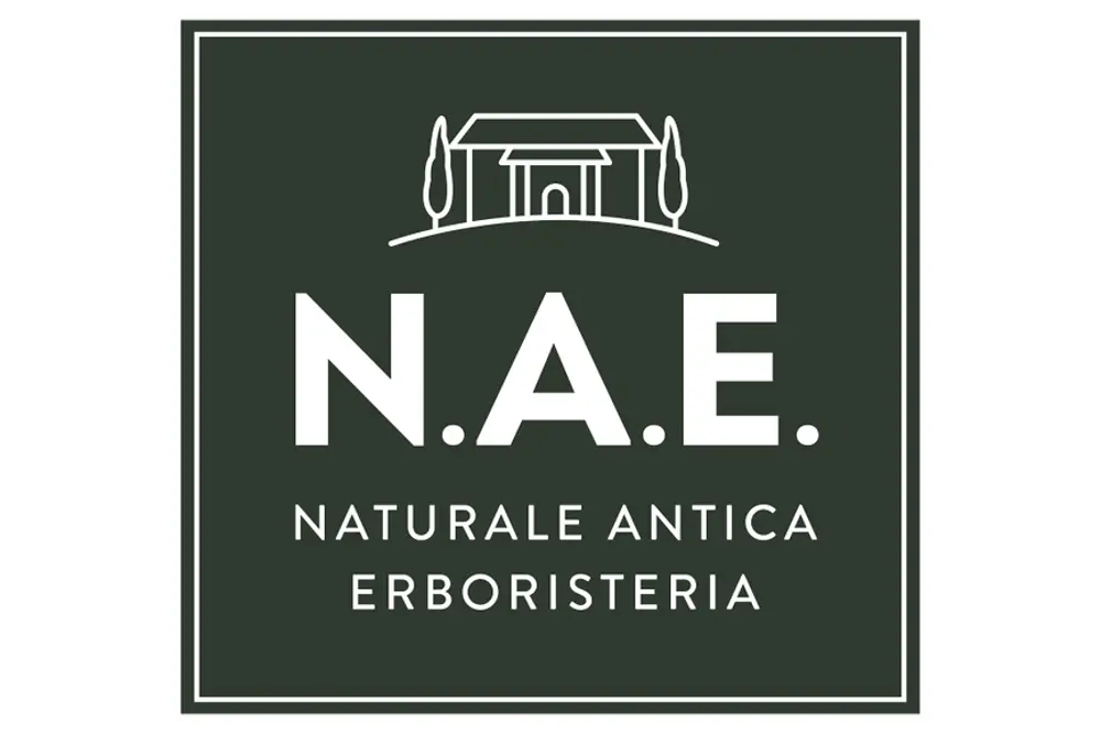 N.A.E logo